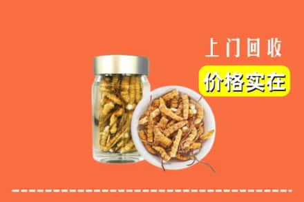 收购资讯:八宿县回收散虫草