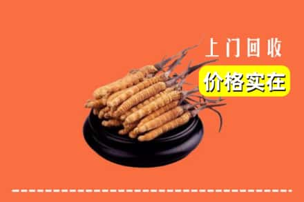 八宿县回收冬虫夏草